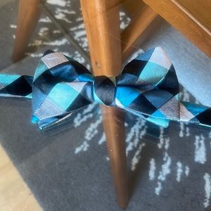 Express Blue Checkered Bow Tie